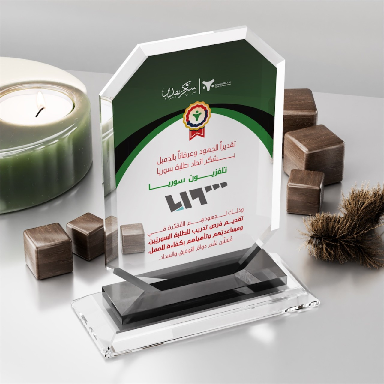 12mm Standart Plaket-09