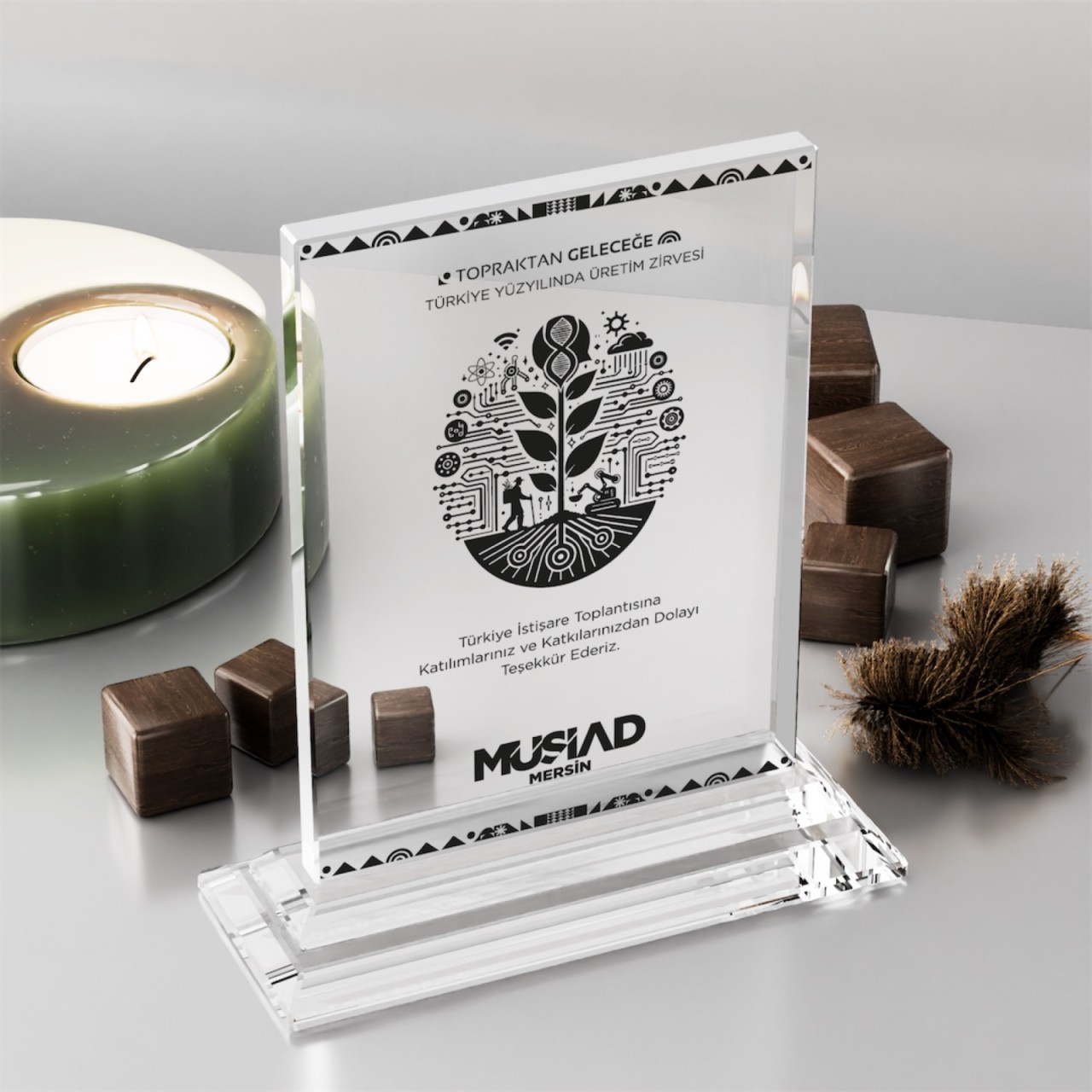 12mm Standart Plaket-12